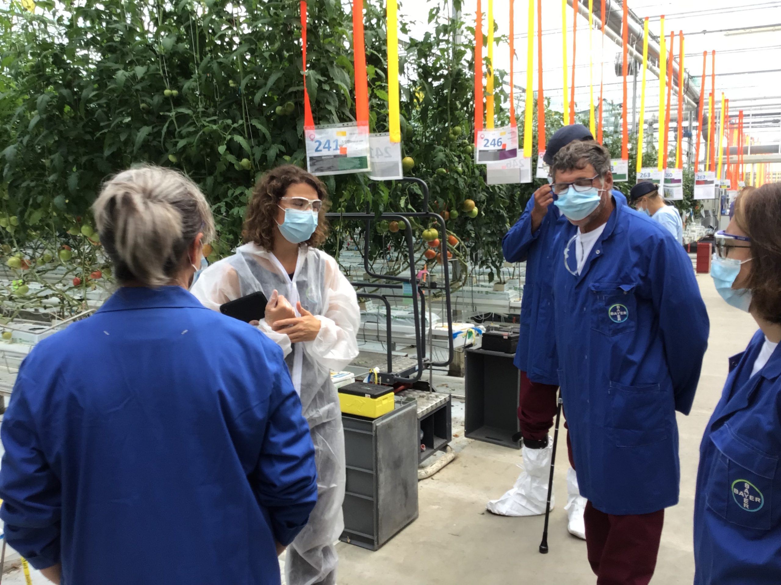 Mepag mepag visite BAYER | Mepag