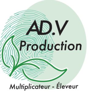 lOGOadv 23CARRE
